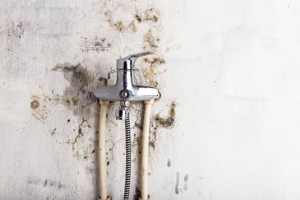 Best Mold Cleaning Services  in Buckeye Lake, OH