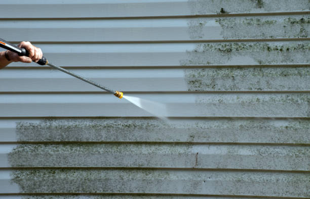 Mold Testing and Removal in Buckeye Lake, OH
