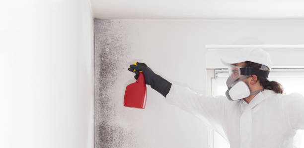 Best Residential Mold Removal  in Buckeye Lake, OH