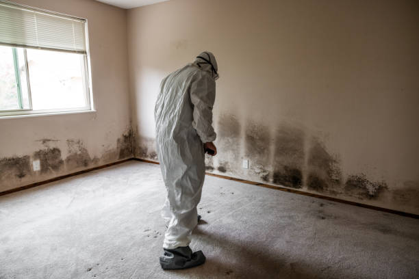 Best Emergency Mold Removal  in Buckeye Lake, OH